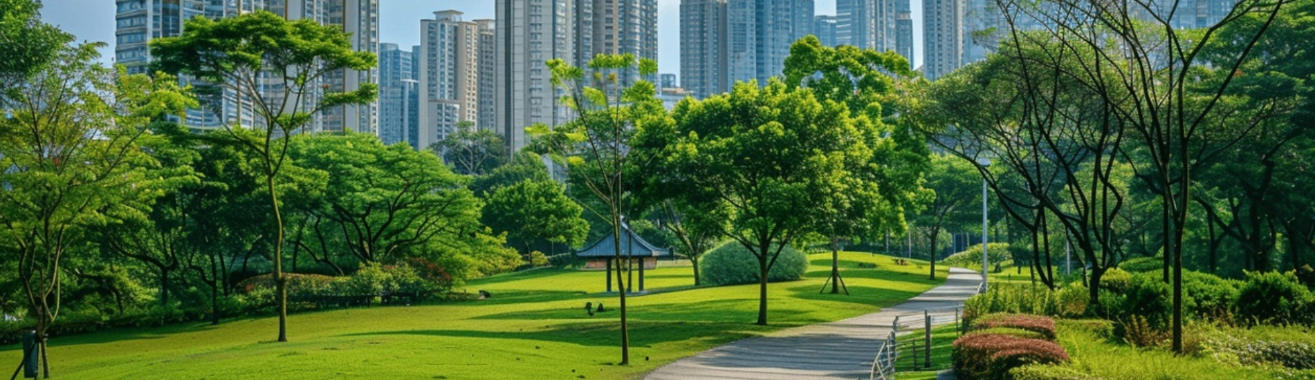 生态公园建设